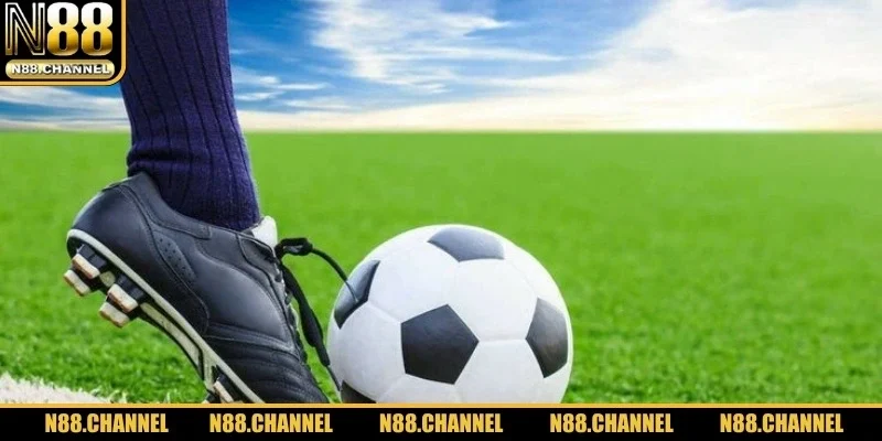 Hiểu rõ Odds là gì qua thực tiễn giúp phân tích chuẩn, cược hiệu quả